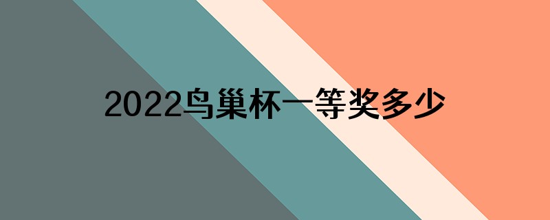 2022鸟巢杯一等奖多少人