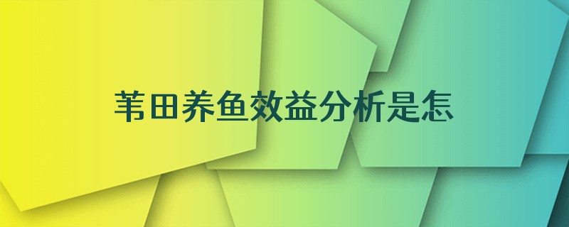 苇田养鱼效益分析是怎样的