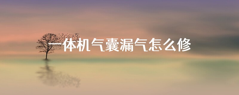 一体机气囊漏气怎么修