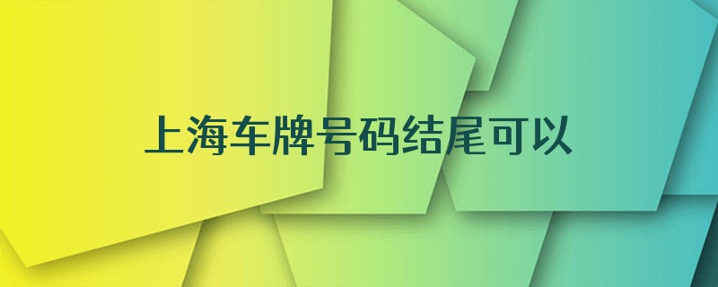 上海车牌号码结尾可以是字母吗